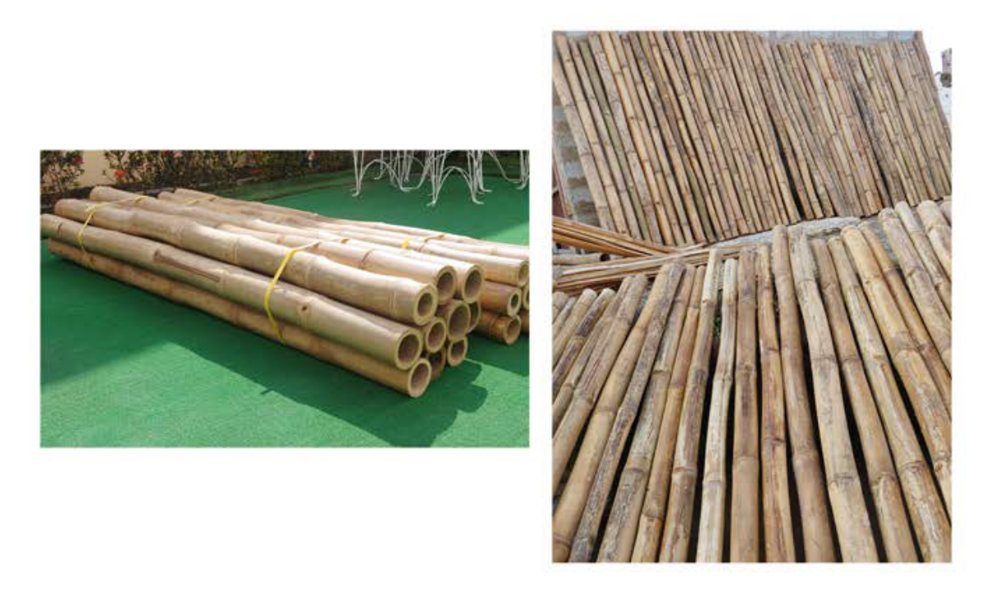 Bamboo poles